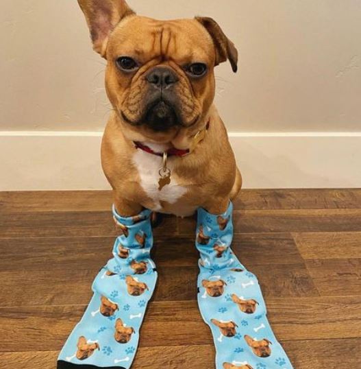 Happy Dog Socks™ - Botjes - Hondenplaneet.eu