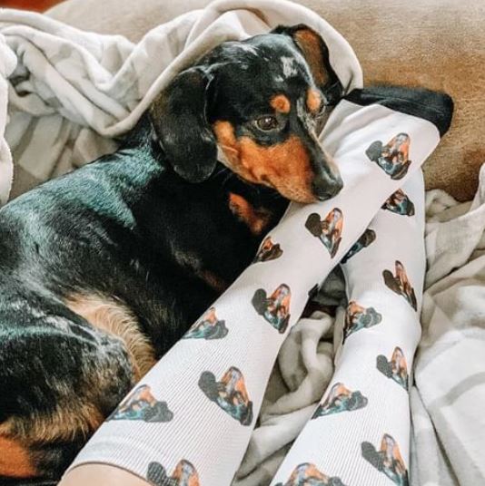 Happy Dog Socks™ - Botjes - Hondenplaneet.eu